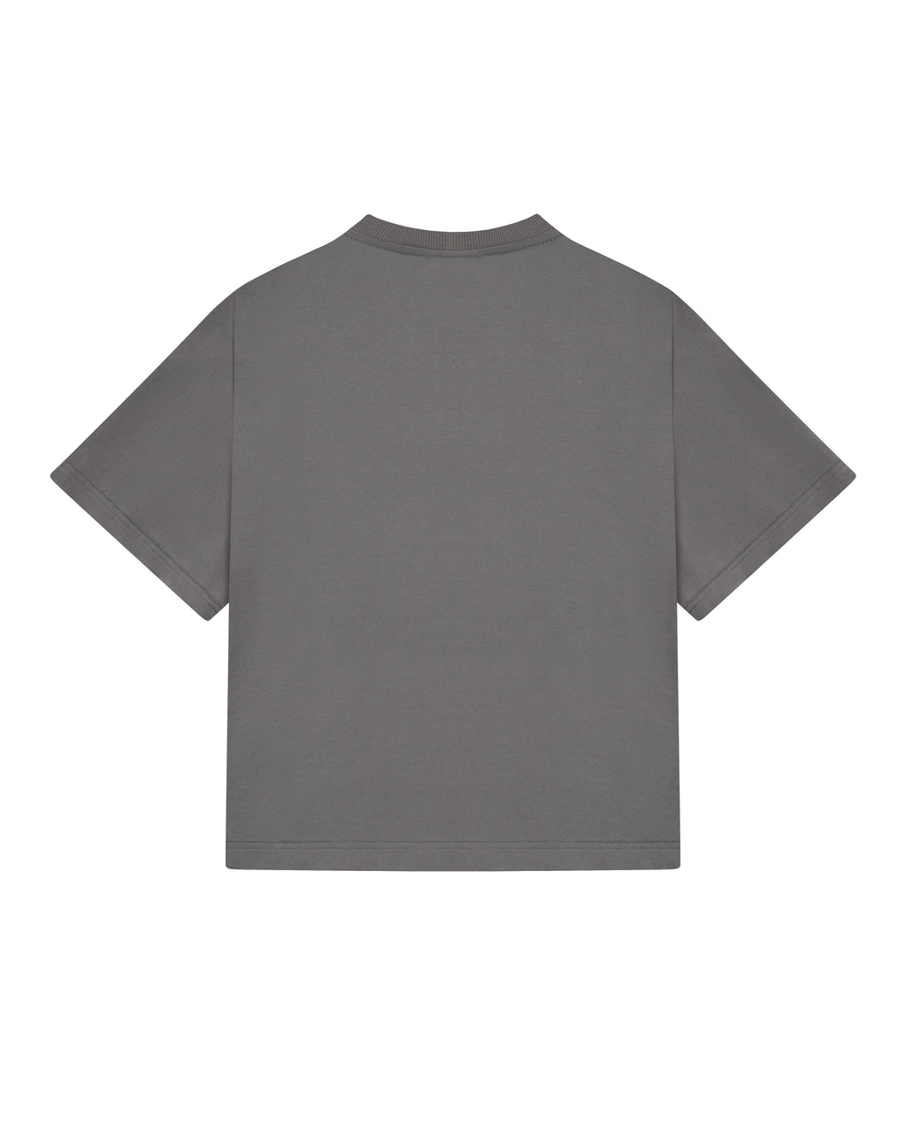 HOMELAND TEE GREY